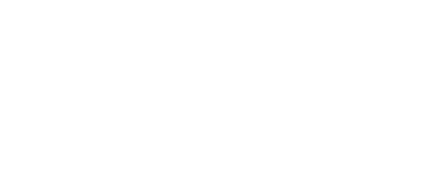 Debt Collections In Portugal